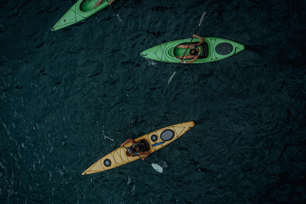Night Kayak and Bioluminescence Tour