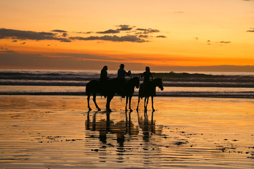 Horseback Riding Tour