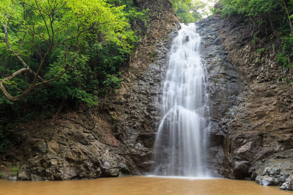 Montezuma Canopy and Waterfall Tour